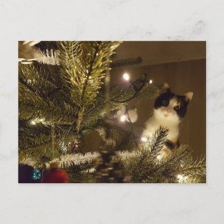 Zelma with the christmas tree feiertagspostkarte