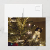 Zelma with the christmas tree postkarte (Vorne/Hinten)