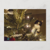 Zelma with the christmas tree postkarte (Vorderseite)