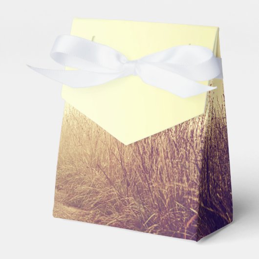 Zelt Papier Bevorzugung Box Sunrise Pathway Walkwa Geschenkschachtel (Vorderseite)