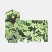 Zelt Style Fevor Box - Grüne Sukkulturen Geschenkschachtel (Ungefaltet)