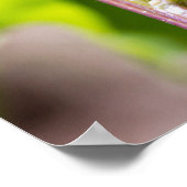 Zelte Raupe auf einem Eichenbaum Poster (Ecke)