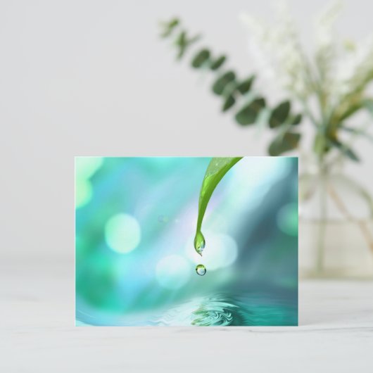 zen 4 postkarte (Stehend Vorderseite)