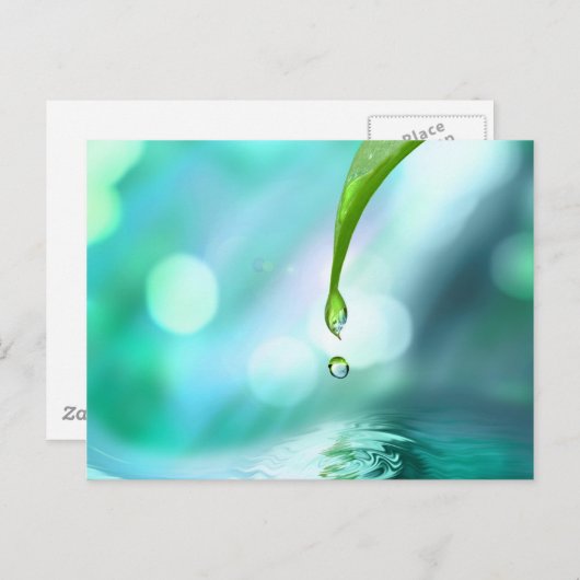 zen 4 postkarte (Vorne/Hinten)