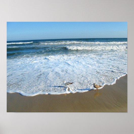 Zen am Strand Poster (Vorne)