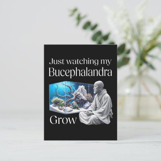 Zen and Bucephalandra – The Art of Aquascaping Postkarte (Stehend Vorderseite)