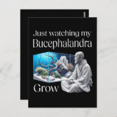 Zen and Bucephalandra – The Art of Aquascaping Postkarte (Vorne/Hinten)