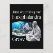Zen and Bucephalandra – The Art of Aquascaping Postkarte (Vorderseite)