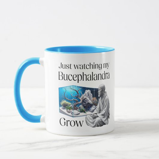 Zen and Bucephalandra – The Art of Aquascaping Tasse (Links)