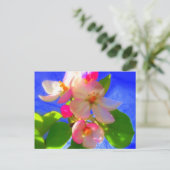 Zen Blossoms Postkarte (Stehend Vorderseite)