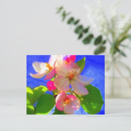 Zen Blossoms Postkarte (Stehend Vorderseite)