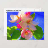Zen Blossoms Postkarte (Vorne/Hinten)