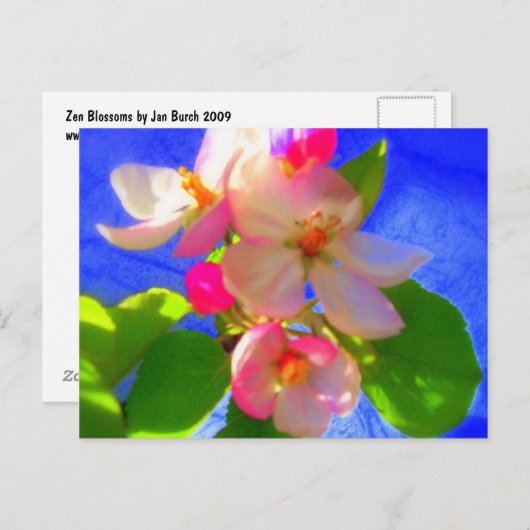 Zen Blossoms Postkarte (Vorne/Hinten)