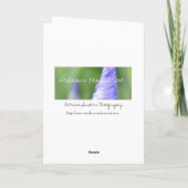 Zen Blume - Dahlia Card Rumi Quote Karte (Rückseite)