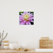 Zen-Blume - Dahlia Poster (Küche)