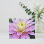 Zen-Blume - Dahlia Postkarte (Stehend Vorderseite)