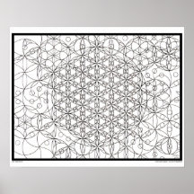 Zen Blume Life Coloring Poster