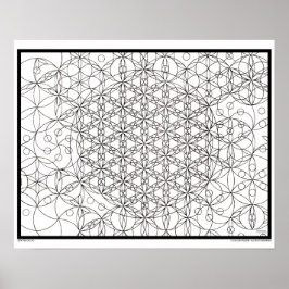 Zen Blume Life Coloring Poster