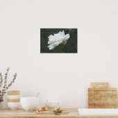 Zen-Blume Poster (Küche)