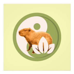 Zen Capybara Yin Yang Friedliche Natur Fotodruck