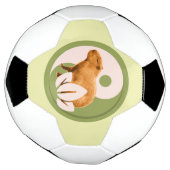 Zen Capybara Yin Yang Fußball (Gedreht)