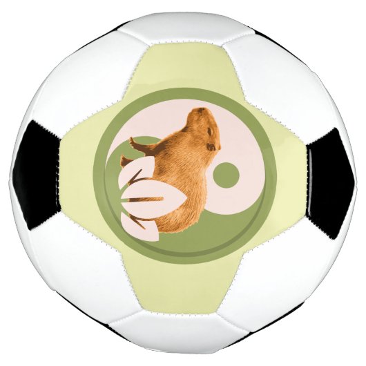 Zen Capybara Yin Yang Fußball (Gedreht)