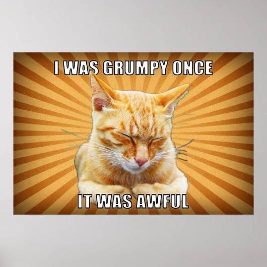 Zen Cat Poster (Vorne)