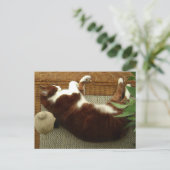 Zen Cat Postkarte (Stehend Vorderseite)