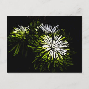 Zen floral Lime white Chrysanthemum Postkarte
