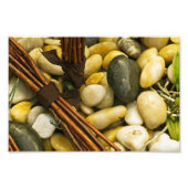 Zen. Fotodruck (Vorne)