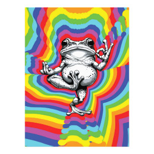 Zen Frog Masterpiece Fotodruck