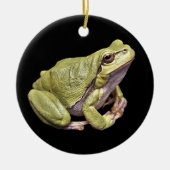 Zen-Frosch blasse e-grün Treefrog schwarze Keramik Ornament (Vorne)