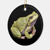 Zen-Frosch blasse e-grün Treefrog schwarze Keramik Ornament (Links)