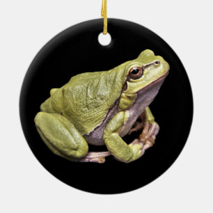 Zen-Frosch Blassgrüner Laubfrosch Schwarzes Orname Keramik Ornament