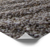 Zen Garden Detail. Poster (Ecke)