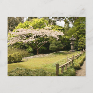 Zen Garden im Frühjahr Postkarte