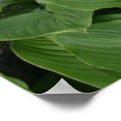 Zen-Garden-Plakat mit weißen Rändern Poster (Ecke)