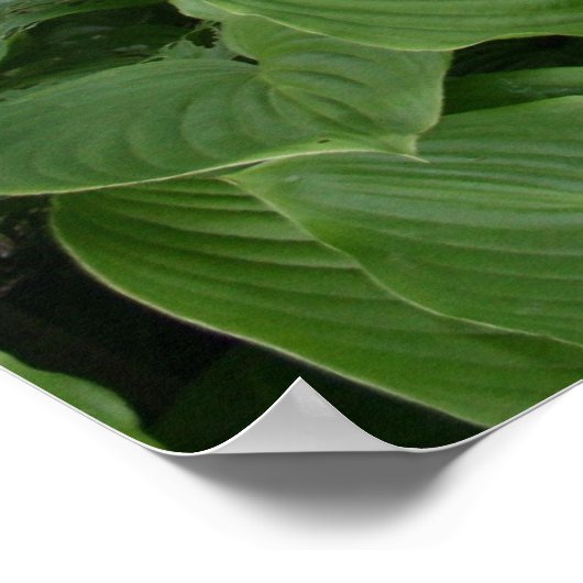 Zen-Garden-Plakat mit weißen Rändern Poster (Ecke)