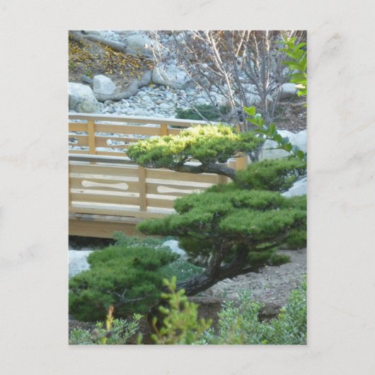 Zen Garden Postkarte (Vorderseite)