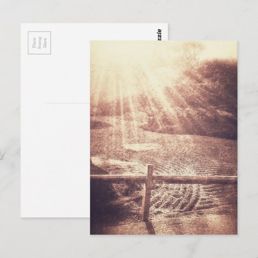 Zen Garden Postkarte (Vorne/Hinten)