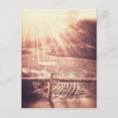 Zen Garden Postkarte (Vorderseite)