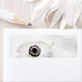 Zen High Key White Anemone über Wasser Hintergrund (Insitu)