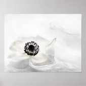 Zen High Key White Anemone über Wasser Hintergrund Poster (Vorne)