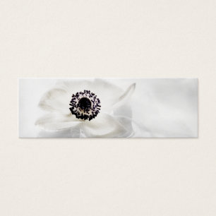 Zen-hohe weiße Schlüsselanemone auf
