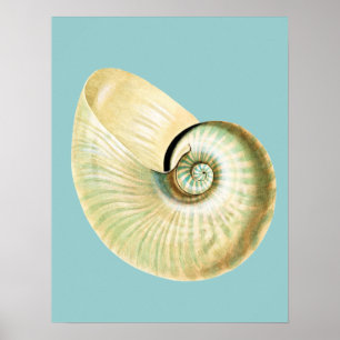 Zen-inspiriertes Strand-Thema Poster