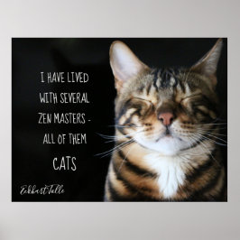 Zen-Kat/Katzenquote Poster