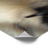 Zen Kitty Poster (Ecke)