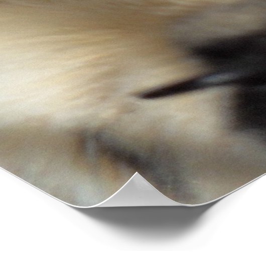 Zen Kitty Poster (Ecke)