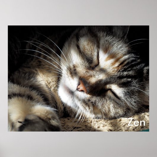 Zen Kitty Poster (Vorne)