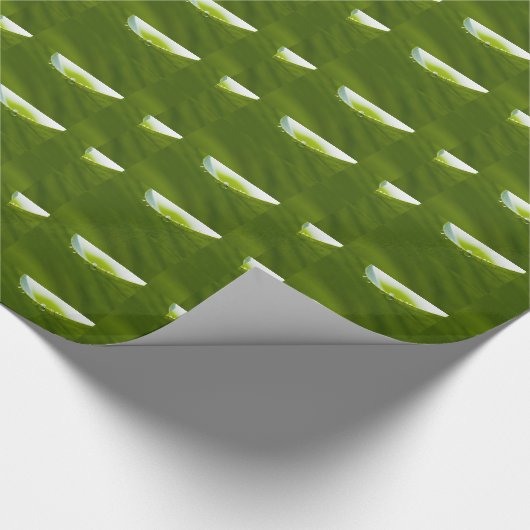 Zen Liebe Green Lotus Leaf Wasserfall Geschenkpapier (Ecke)